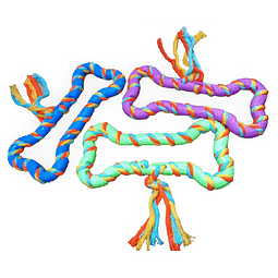 HUESO DE GOMA  + CUERDA PARA PERRO MEDIANO