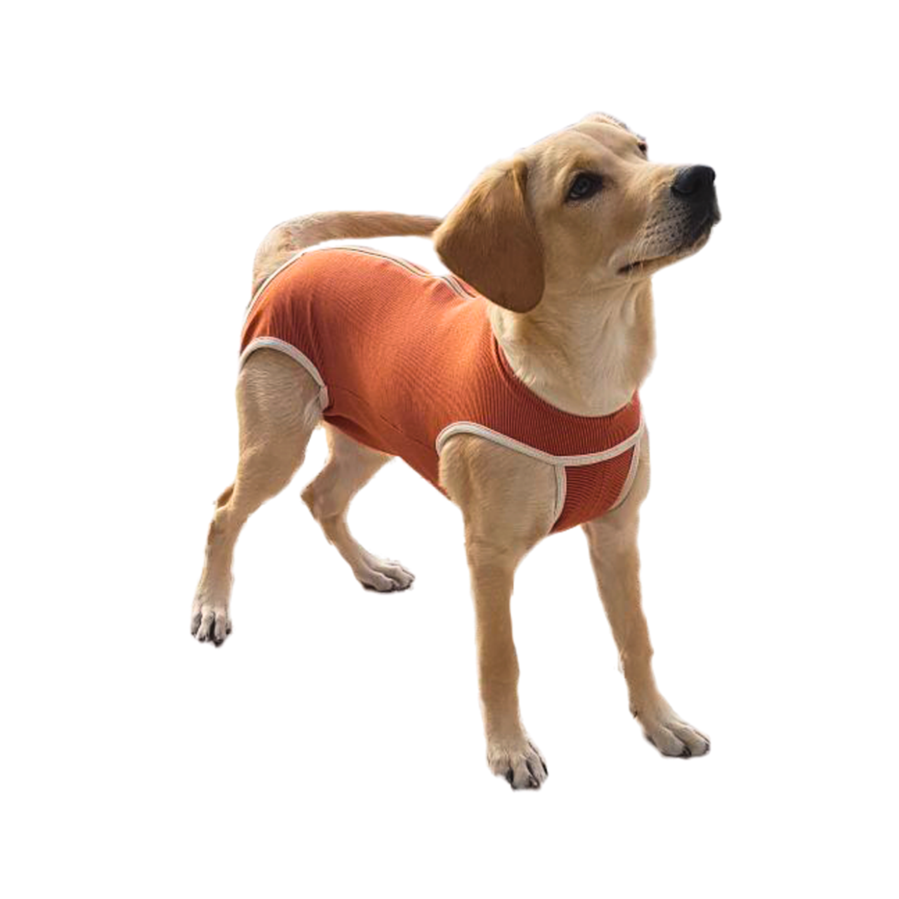 Body Cobre Kimba Talla 1 3