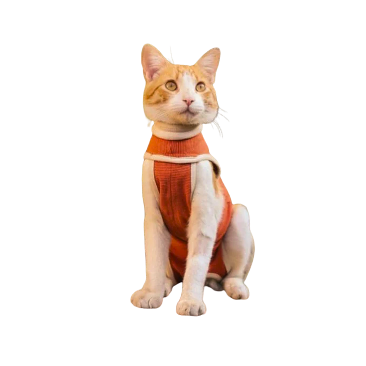 Body Cobre Kimba Talla 2 3