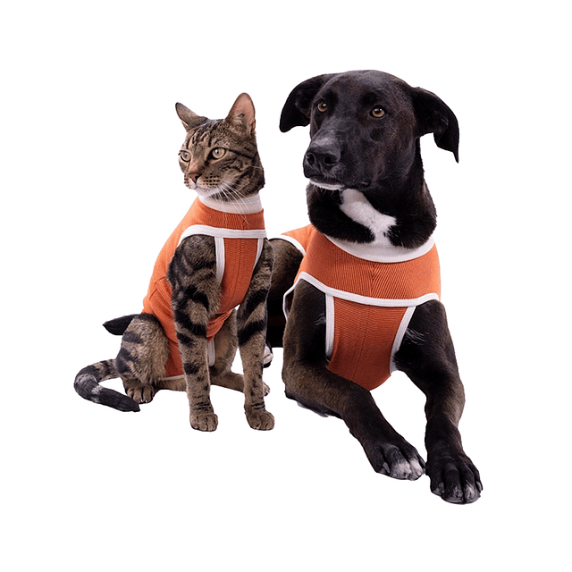 Body Cobre Kimba Talla 12 1