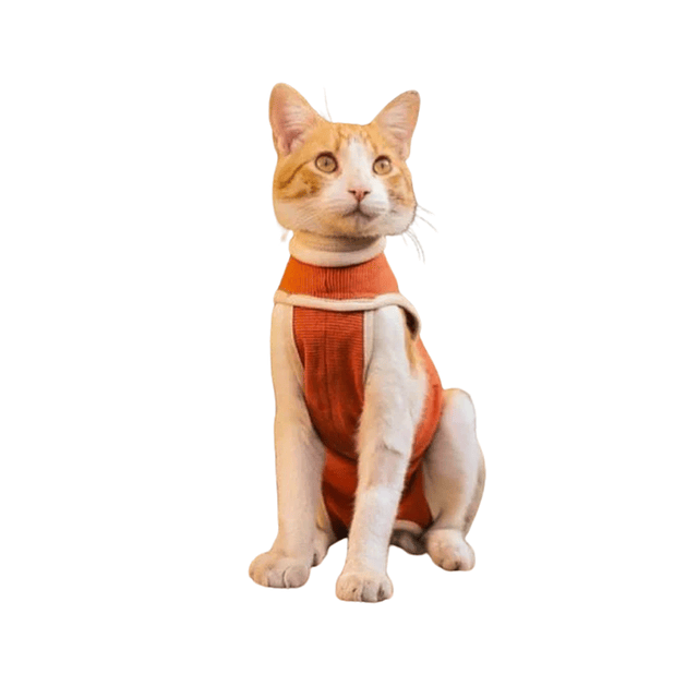 Body Cobre Kimba Talla 13 3