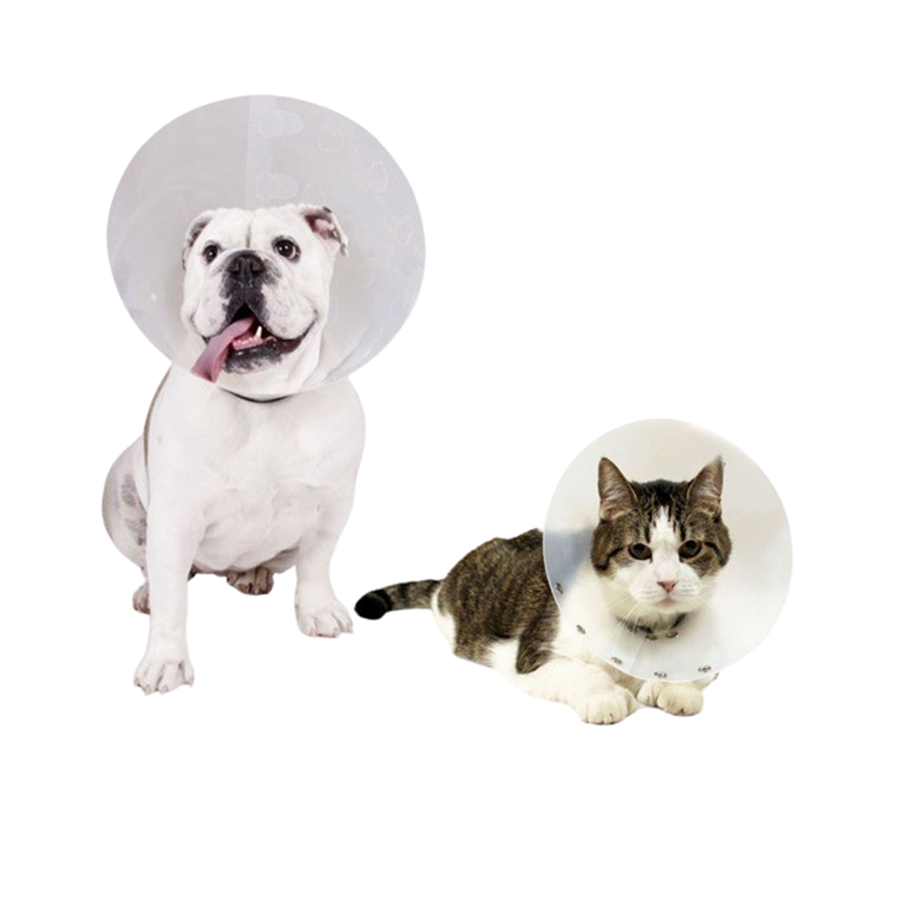 Collar Isabelino 10 1