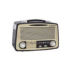 Radio Vintage Audio Pro AP02051, USB, BT, TF, AM/FM