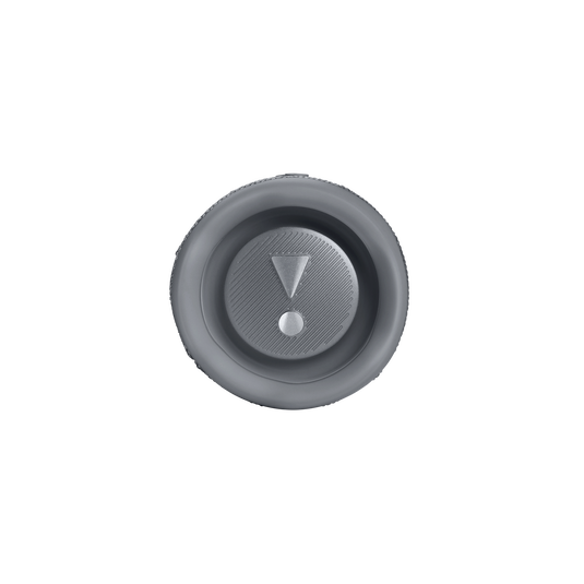 Parlante Jbl flip 6 Gris 5