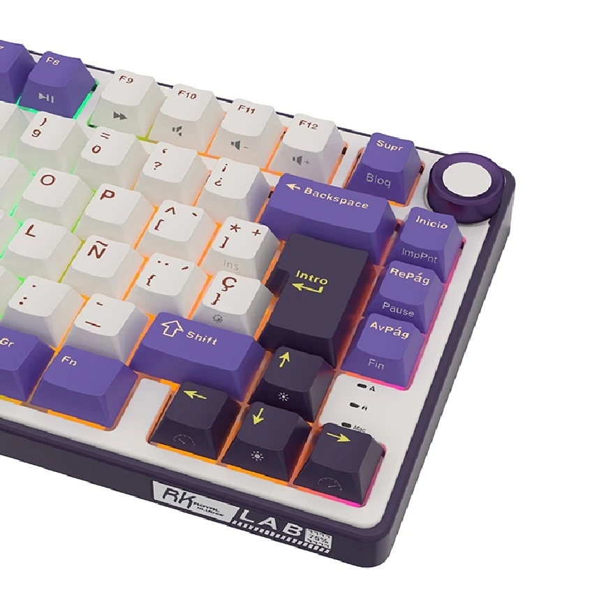 Teclado Mecánico Royal Kludge RK R75 Blackberry 75% Español SW Silver 2