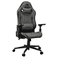 Silla Gamer - Cougar Explore Jet Gray F - Soporte Máx 120 kg - Miniatura 2