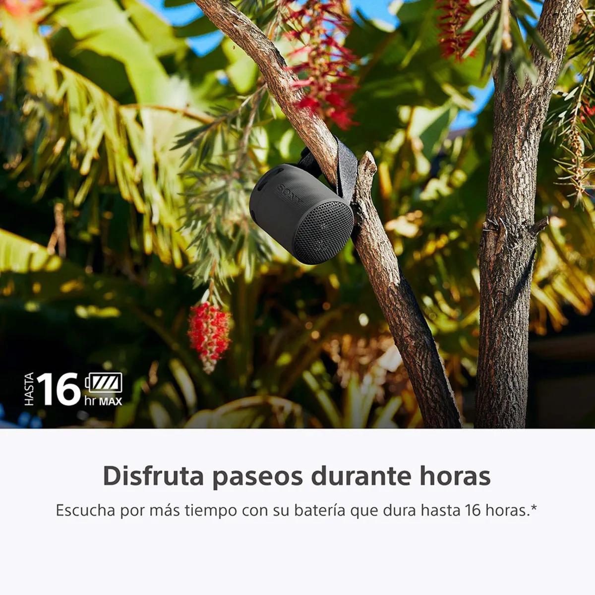 Parlante Sony inalámbrico portátil XB100- Celeste 2