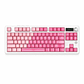 Teclado Mecánico AJAZZ MK87 RGB Three-Mode Rosa Degradado con pantalla - Miniatura 1