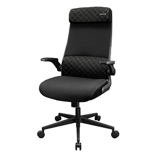 Silla OFICINA Cougar Stryder Ergonomic COLOR NEGRO 
