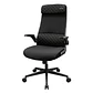 Silla OFICINA Cougar Stryder Ergonomic COLOR NEGRO  - Miniatura 1