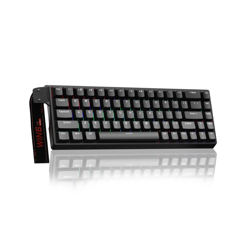 Teclado Aula Win66 He SW magnético 60% Gamer Rgb cableado color negro 1