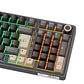Teclado Mecánico Royal Kludge RK R98 Pro Phantom 98% Español RGB Beige Switch Hot-Swap USB-C - Miniatura 4