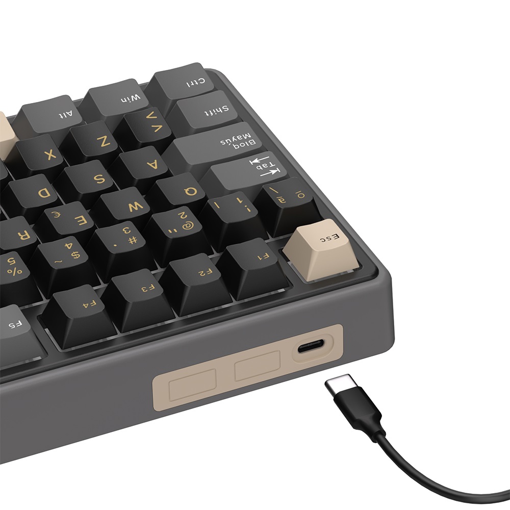 Teclado Mecánico Royal Kludge RK R98 Pro Phantom 98% Español RGB Beige Switch Hot-Swap USB-C 5