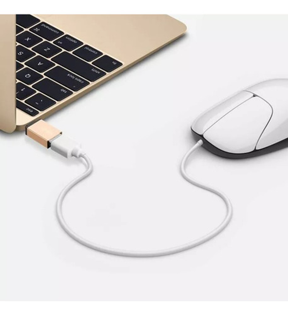 Adaptador Otg Usb Tipo C 3.1 Macho A Usb 3.0 Hembra Gris 7