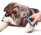 Cepillo Removedor De Pelo Para Perros Con Rastrillo Para Perros, Color Azul - Miniatura 3