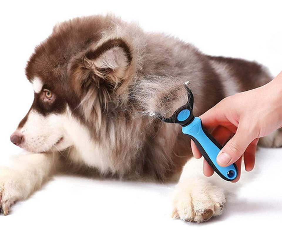 Cepillo Removedor De Pelo Para Perros Con Rastrillo Para Perros, Color Azul 3