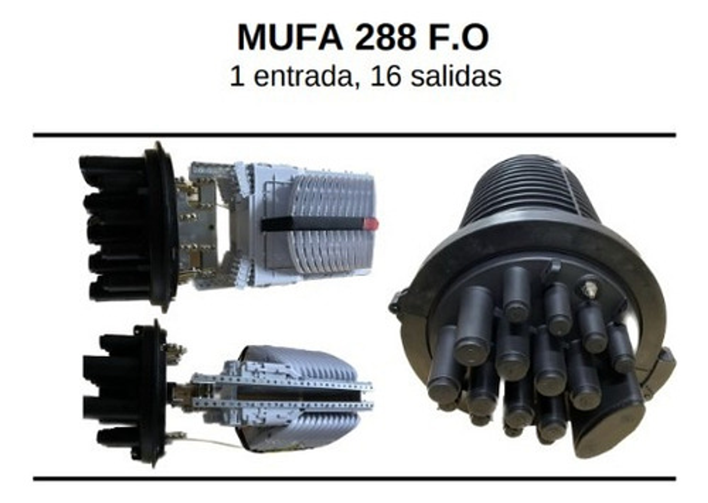Mufa 288 F.o (1e 16s) 1
