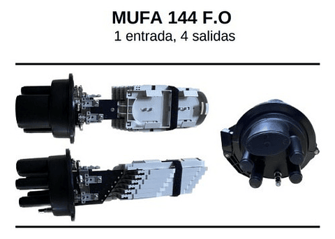 Mufa 144 F.0 (1e 4s)