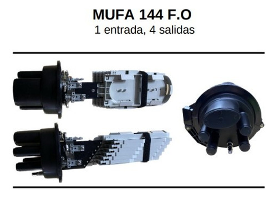 Mufa 144 F.0 (1e 4s) 1