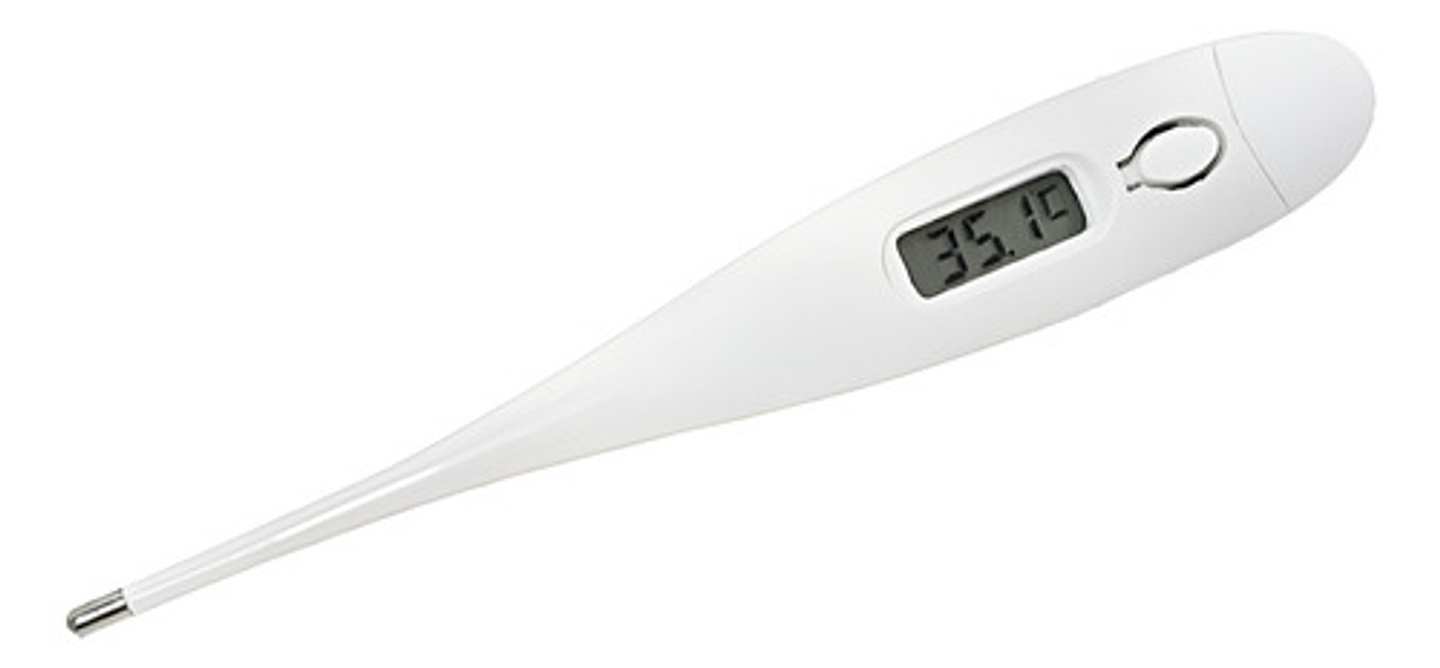 Termómetro Corporal Digital Tipo Lapiz 1