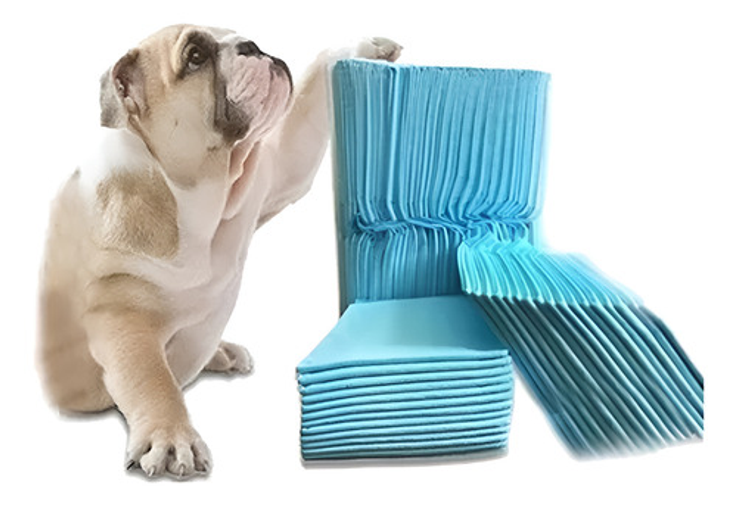 50 Pañales Tipo Sabanillas Mascotas Perros Gatos 60x45 Cms 1