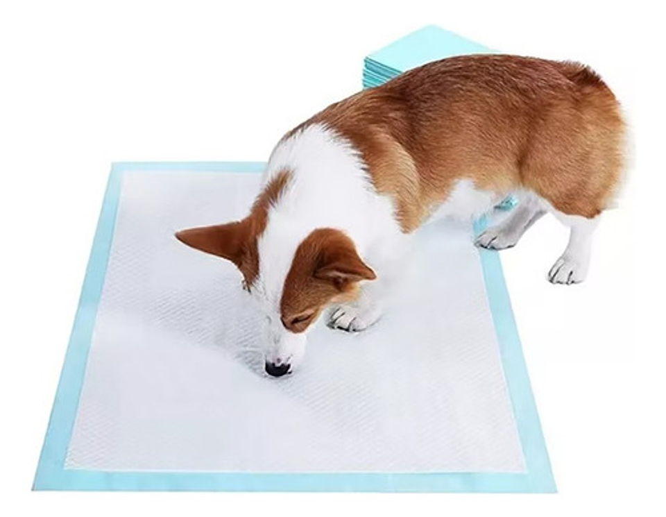 50 Pañales Tipo Sabanillas Mascotas Perros Gatos 60x45 Cms 6