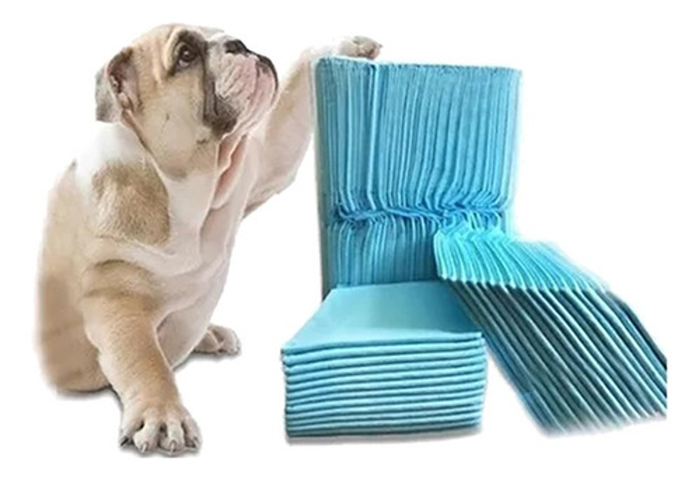 50 Pañales Tipo Sabanillas Mascotas Perros Gatos 60x45 Cms 1