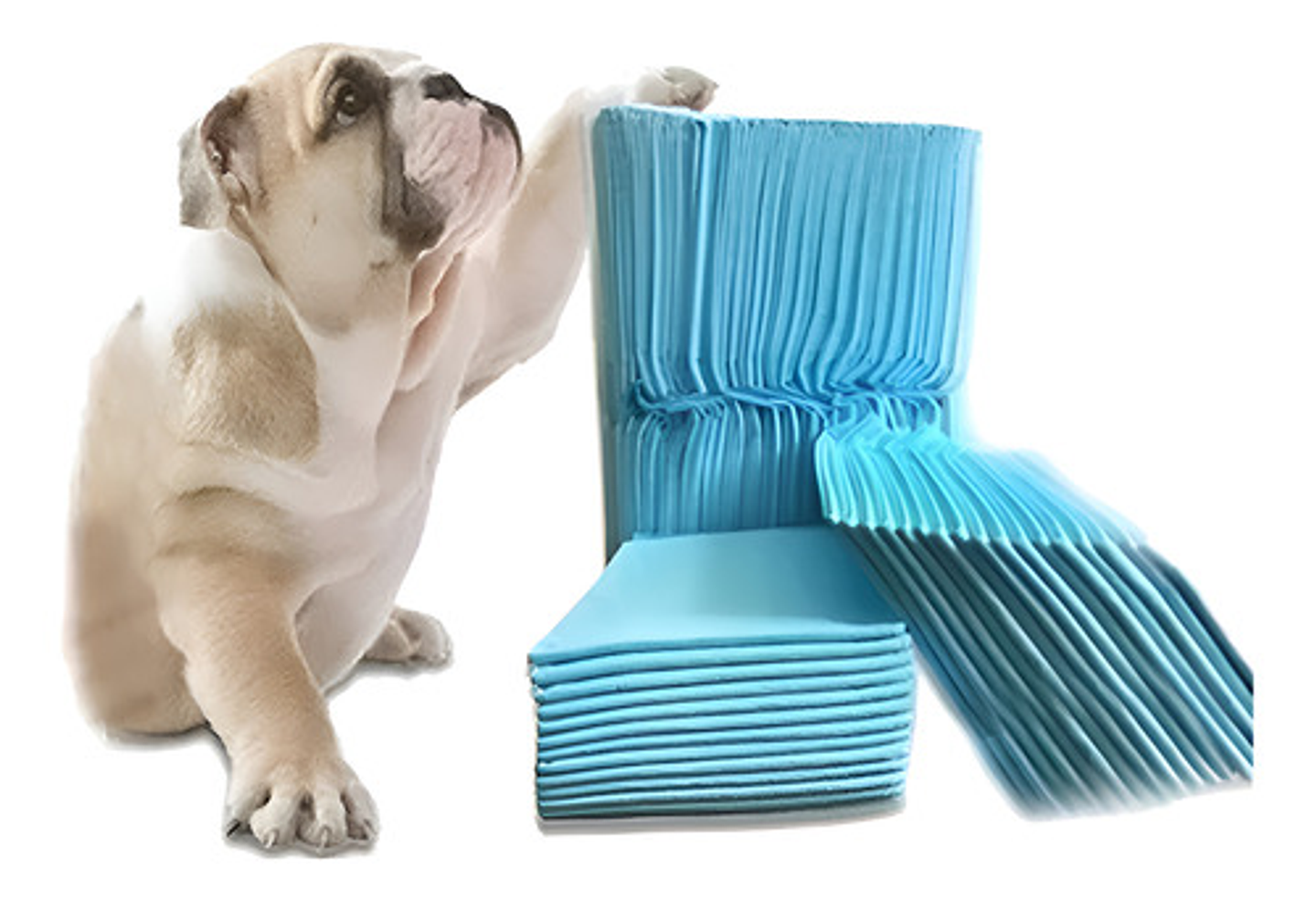 50 Pañales Tipo Sabanillas Mascotas Perros Gatos 60x45 Cms 1