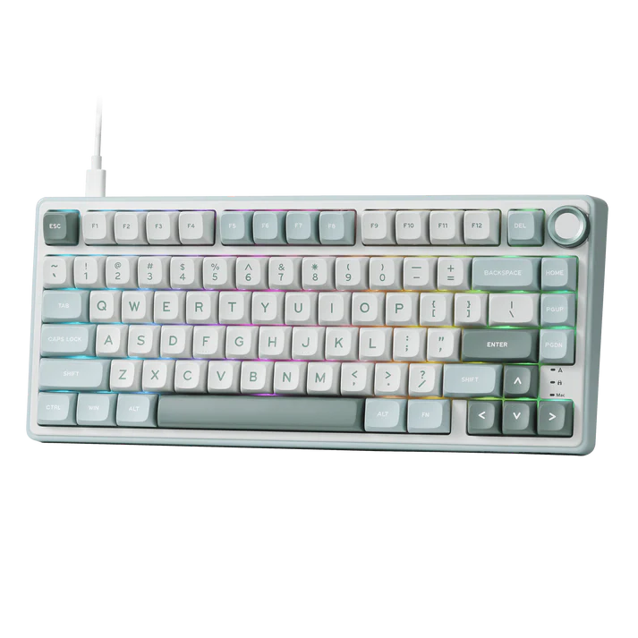 Teclado Mecánico Royal Kludge sky cyan con cable R75 75% SW Brown 2