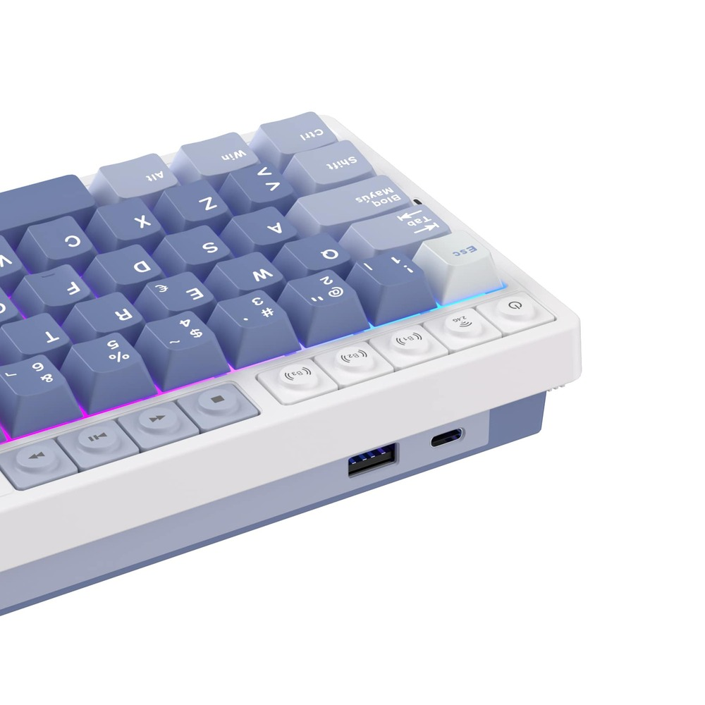 Teclado Mecánico Inalámbrico RK Royal Kludge M65 Ocean Blue 65% Español sw beige 3