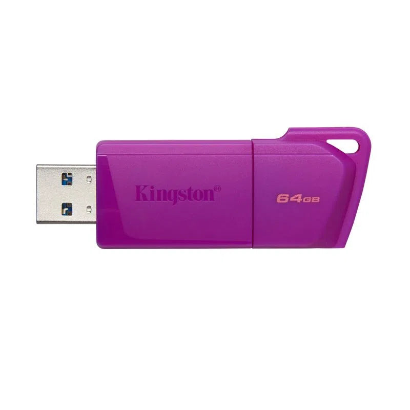 Pendrive Kingston Unidad Flash Datatraveler Exodia 64Gb Purple  , Usb 3.2 1