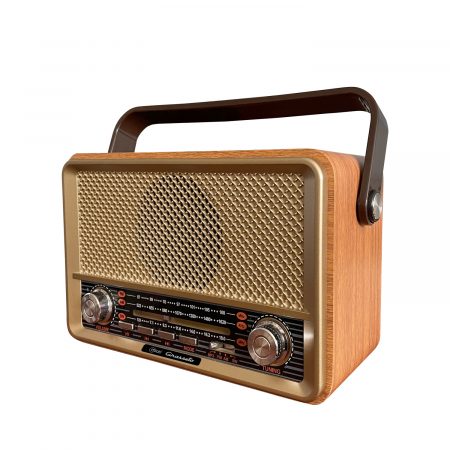 Radio Retro Grosseto - 9142  4