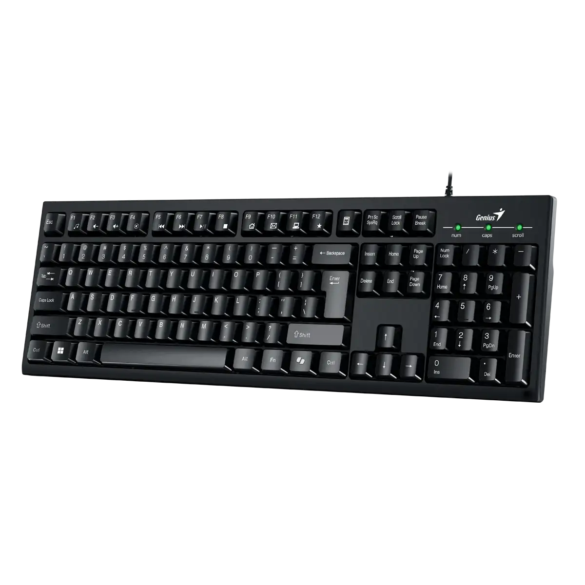 TECLADO USB MULTIMEDIA KB-100 GENIUS  2