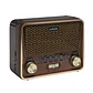 Parlante Radio Mini Retro Audiolab Inalámbrico AM/FM - Miniatura 1