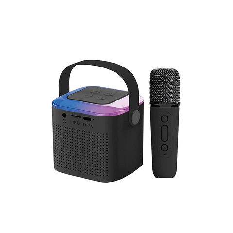 Parlante Karaoke Portátil Bluetooth Negro Audiopro Ap02101