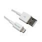 CABLE LIGHTNING 1MT TECMASTER - Miniatura 2
