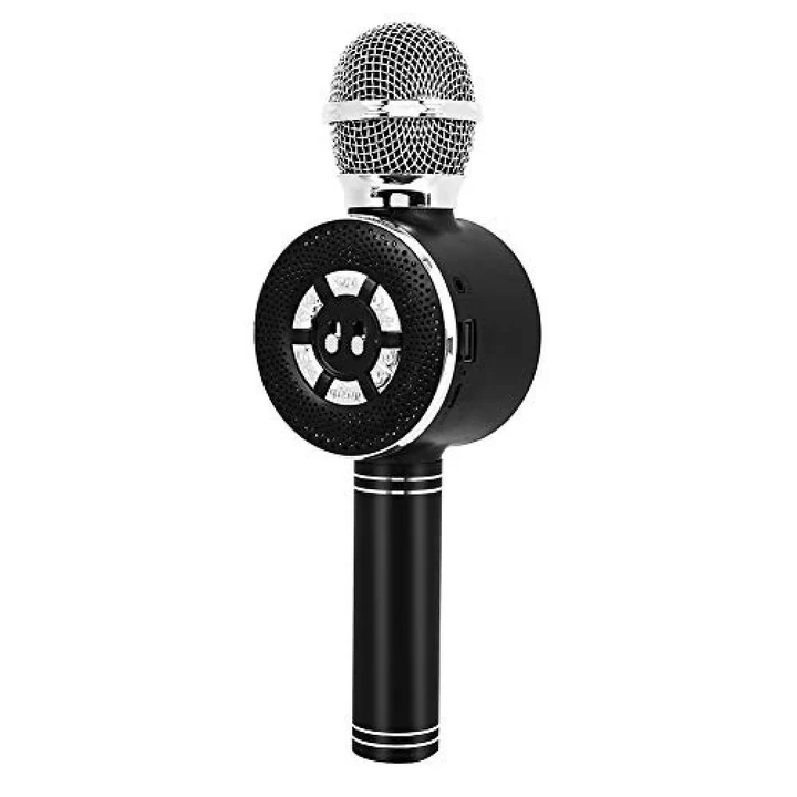 Micrófono Recargable Karaoke WS669 1