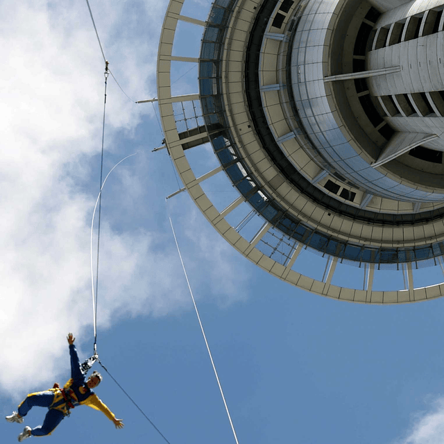 12 semanas inglés en Auckland