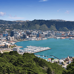 16 semanas inglés en Wellington