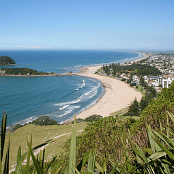 16 semanas inglés en Mount Maunganui