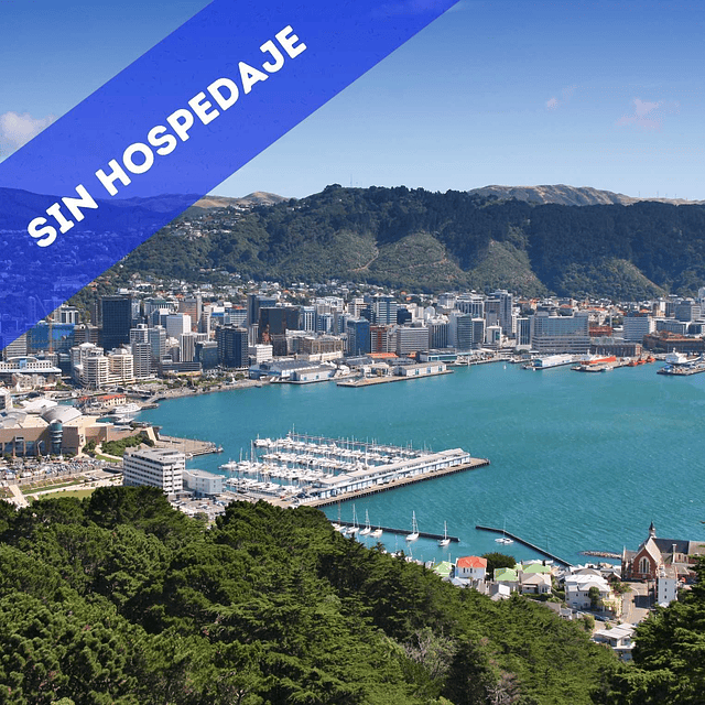 16 semanas inglés en Wellington