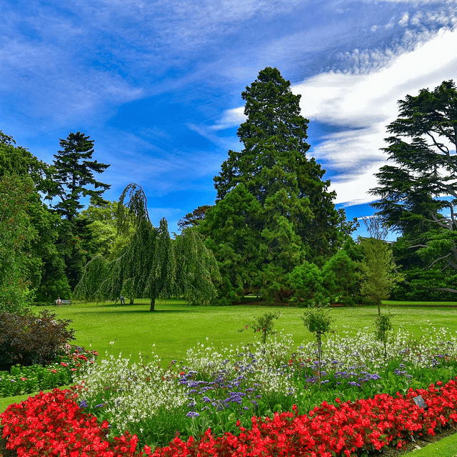 20 semanas inglés en Christchurch