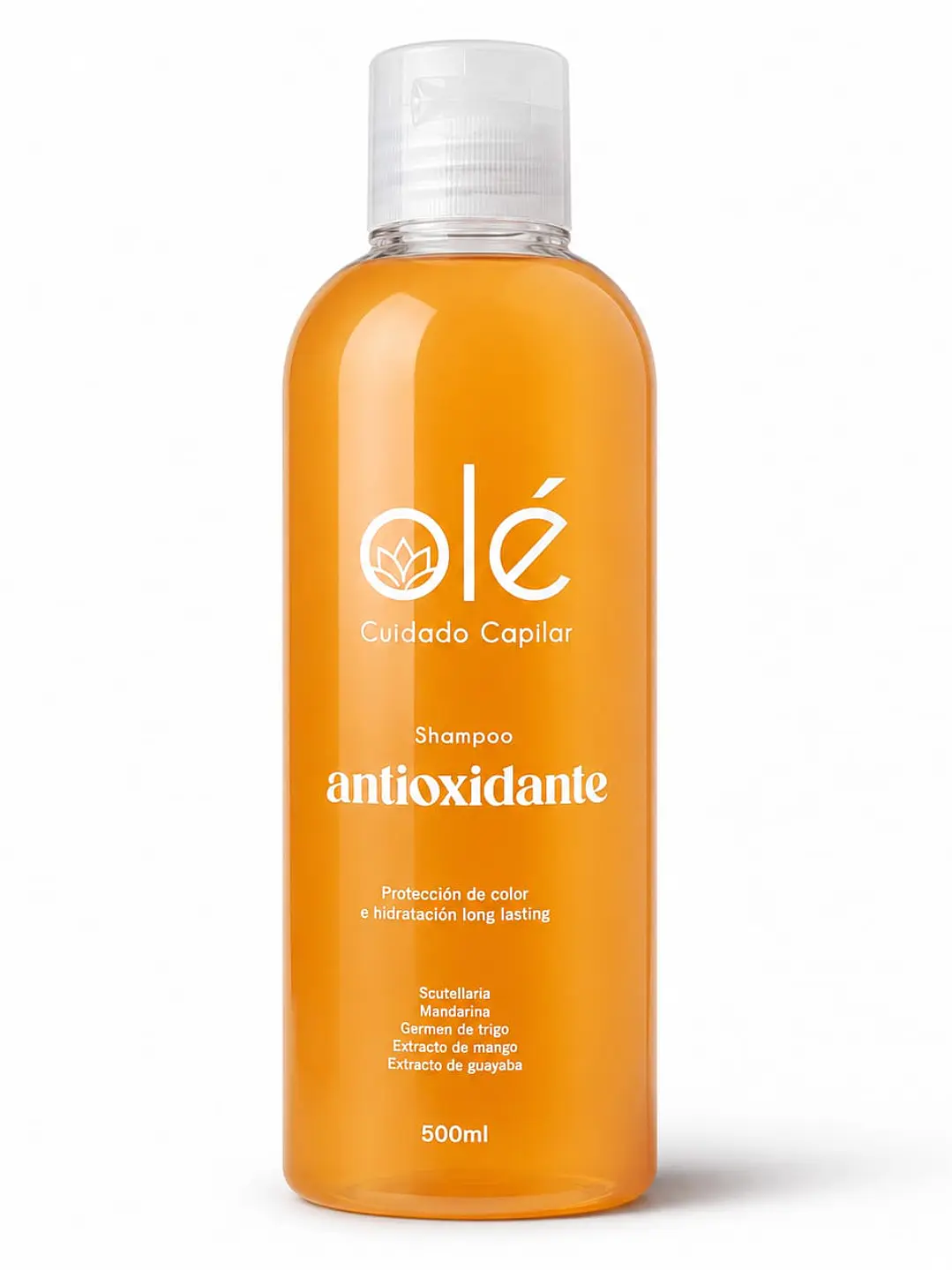 Shampoo Capilar Mix de Frutas Protección y Reparación – Olé Capilar 1