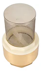 Valvula Fondo (pie) Hi-hi C/filtro Acero Inox 1 Pulga Taumm - Miniatura 3