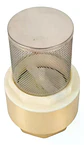 Válvula De Fondo Bomba Con Filtro Acero Inoxidable 1 PuLG - Miniatura 3