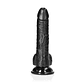 DILDO REALISTA COM TESTÍCULOS CURVED 7 /18CM PRETO REALROCK - Miniatura 3