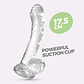 HUDINI DILDO ANAL JELLY TRANSPARENTE CRUSHIOUS - vignette 1