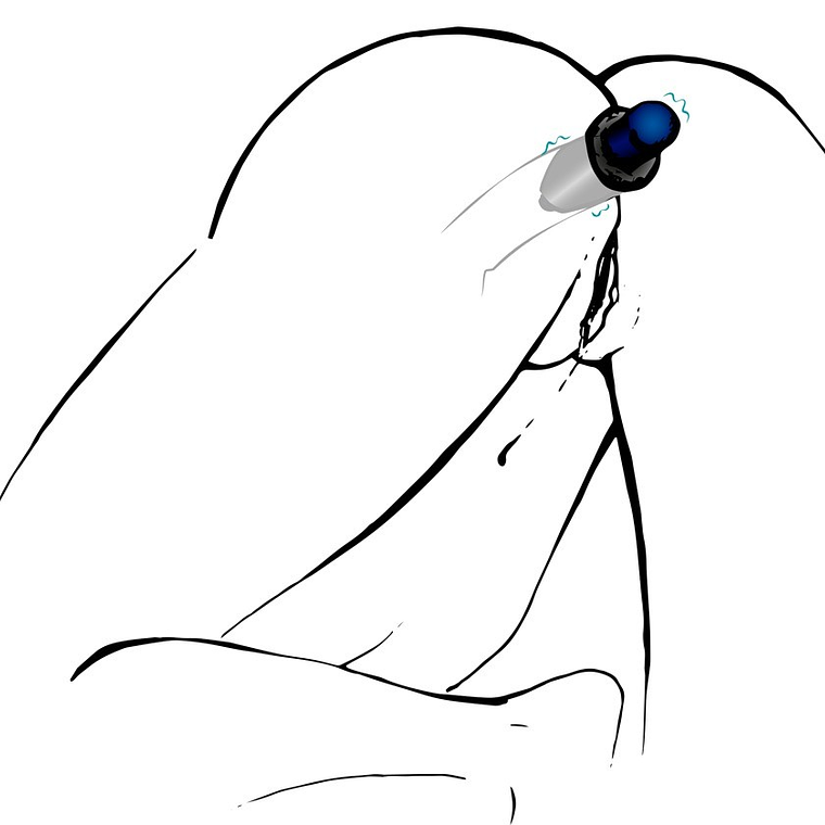 PLUG ANAL EM SILICONE LUST TUNNEL 5