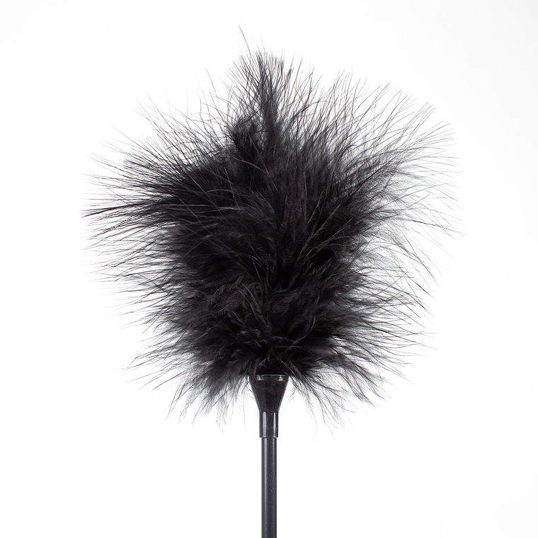 ESPANADOR DE PLUMAS E CHICOTE PRETO SECRET PLAY 2