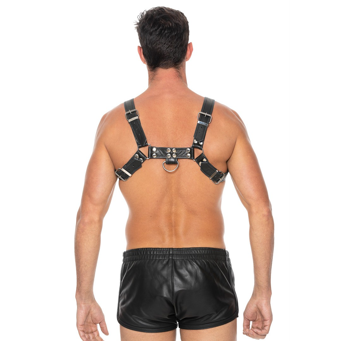 ARNÊS LEATHER BULLDOG HARNESS L/XL PRETO OUCH!  5